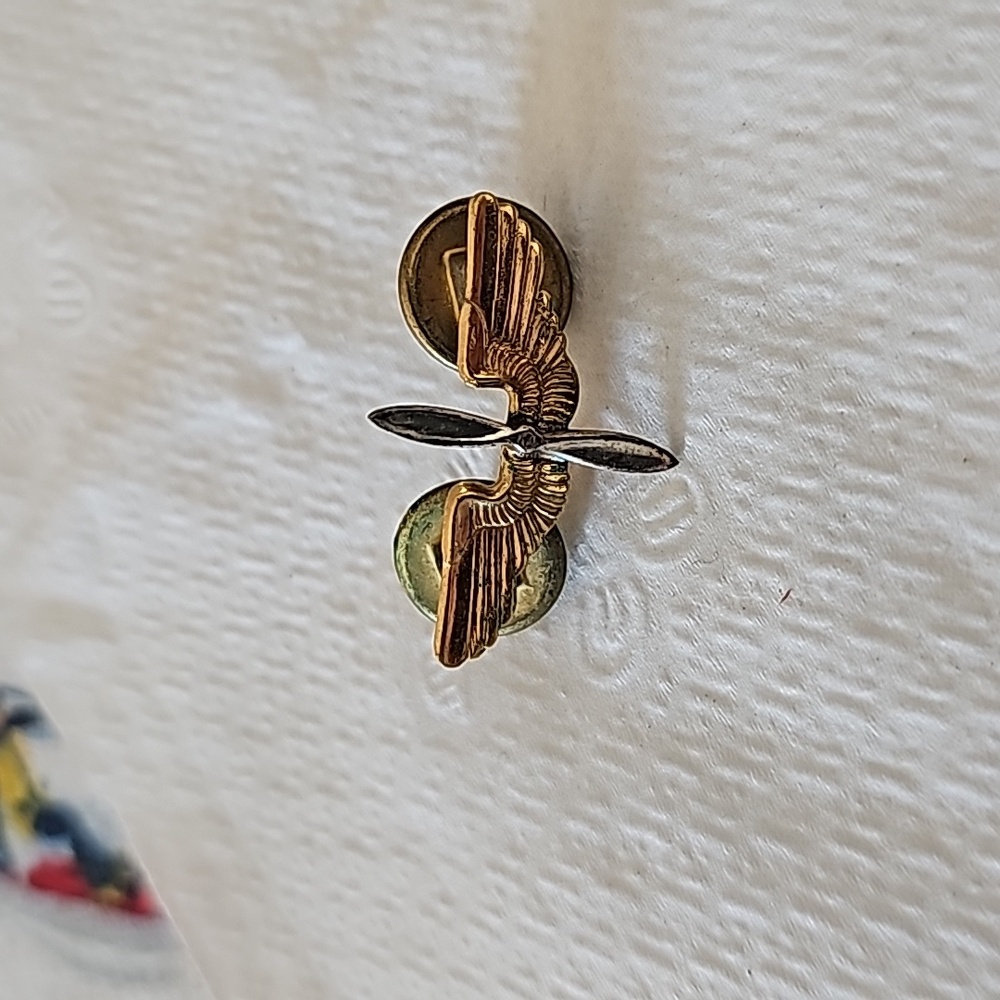 Vintage pilot wings pin